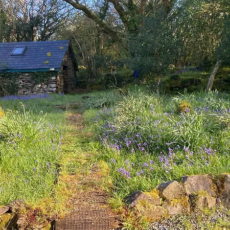 Sligo Forest Retreat Exterior photo