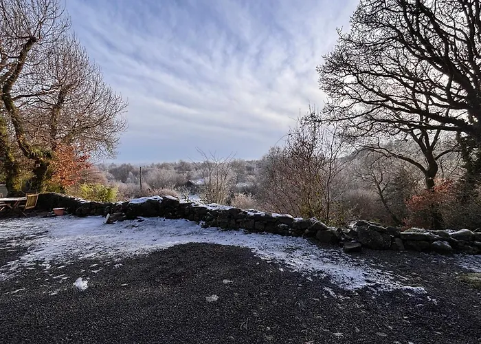 Sligo Forest Retreat