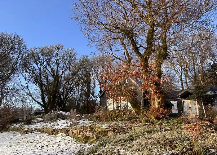 Sligo Forest Retreat